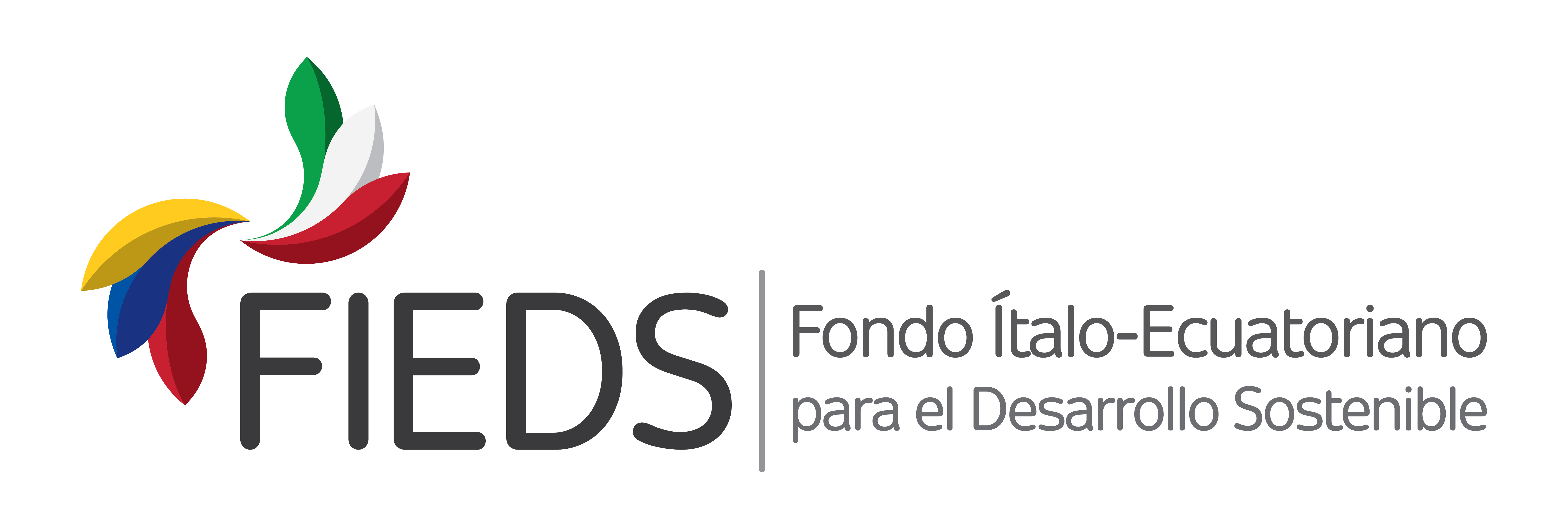 FIEDS2 logo